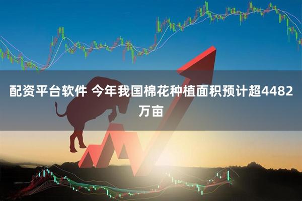 配资平台软件 今年我国棉花种植面积预计超4482万亩