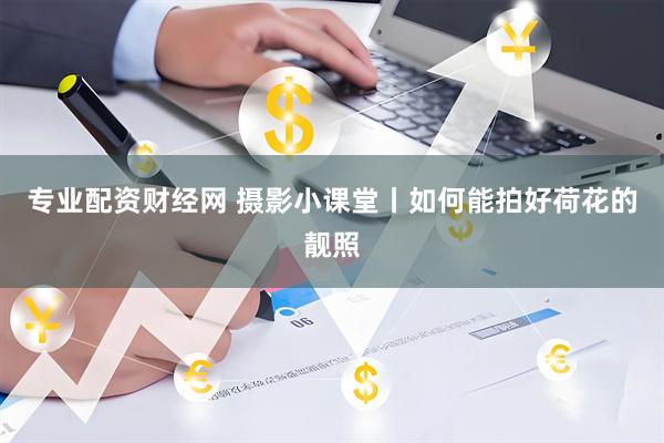 专业配资财经网 摄影小课堂丨如何能拍好荷花的靓照